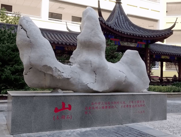 南京市鼓楼实验中学山形太湖石 南京市鼓楼实验中学山形太湖石
