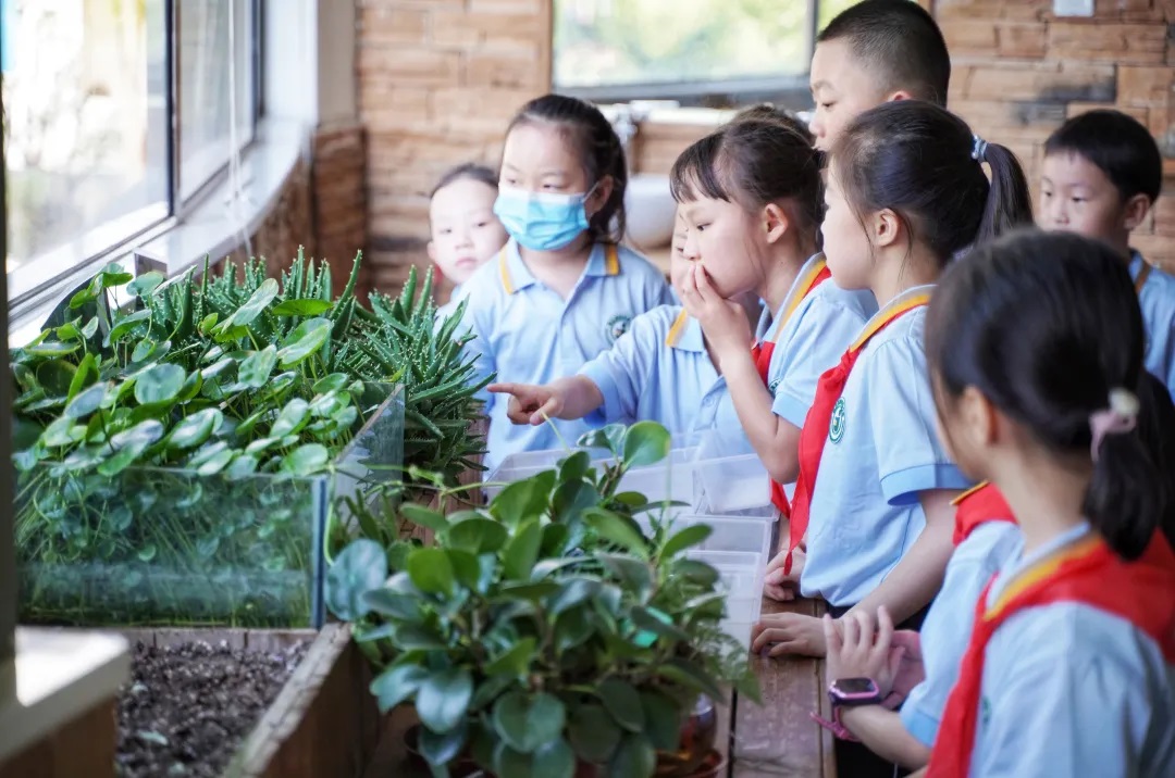 探索性学习场景
