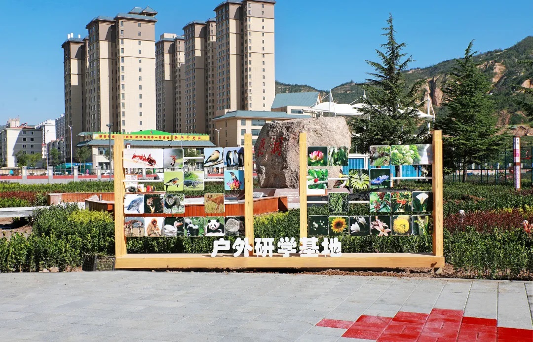 户外研学基地
