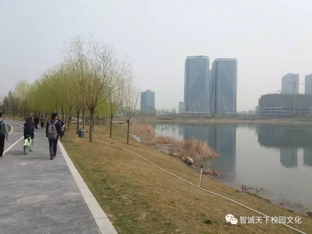 2017，我们昂首阔步向前行